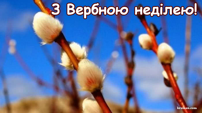 Привітання з Вербною неділею українською мовою