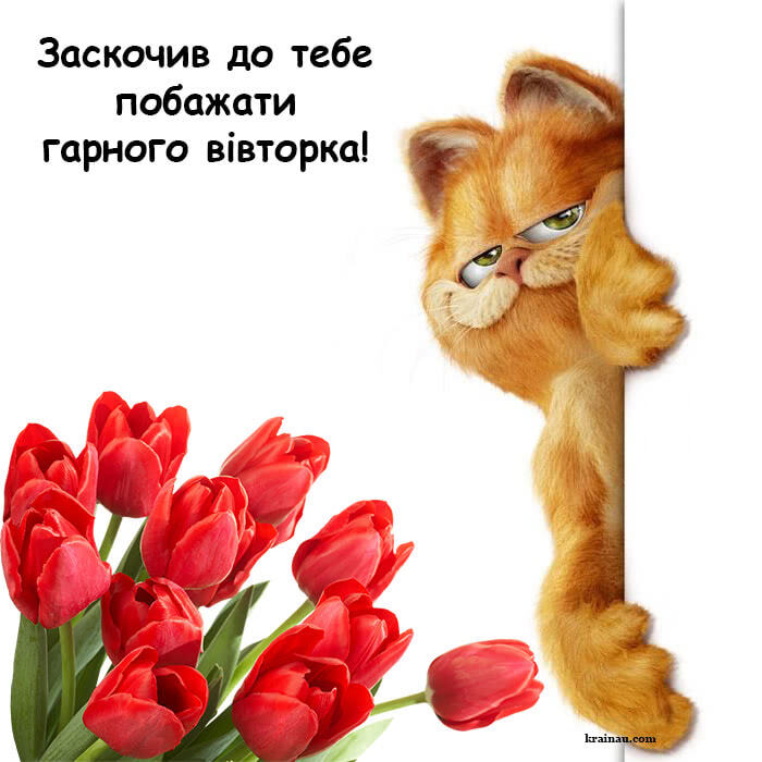 Легкого вівторка