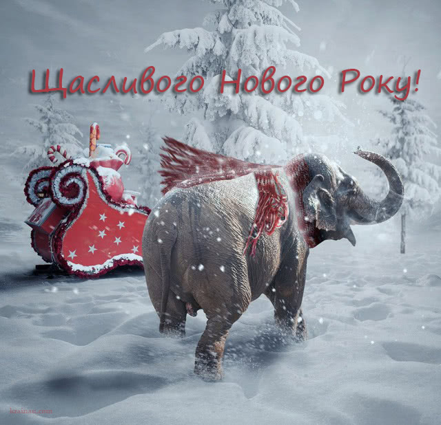 Картинки З Новим Роком 2019