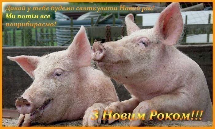 Картинки З Новим Роком 2019