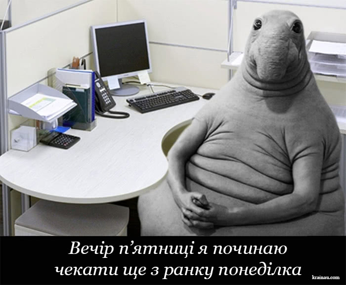 Доброго вечора п'ятниця