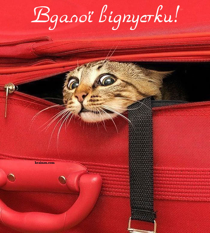 Затишних вихідних