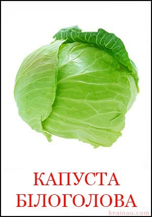 Картинки овочі для дітей