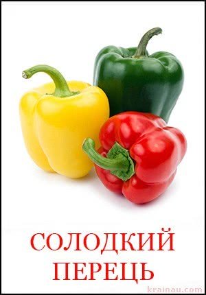 Картинки овочі для дітей