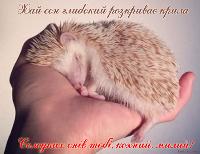 На добраніч картинки