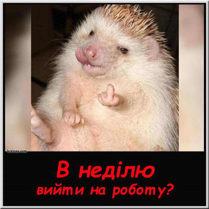 Меми про роботу