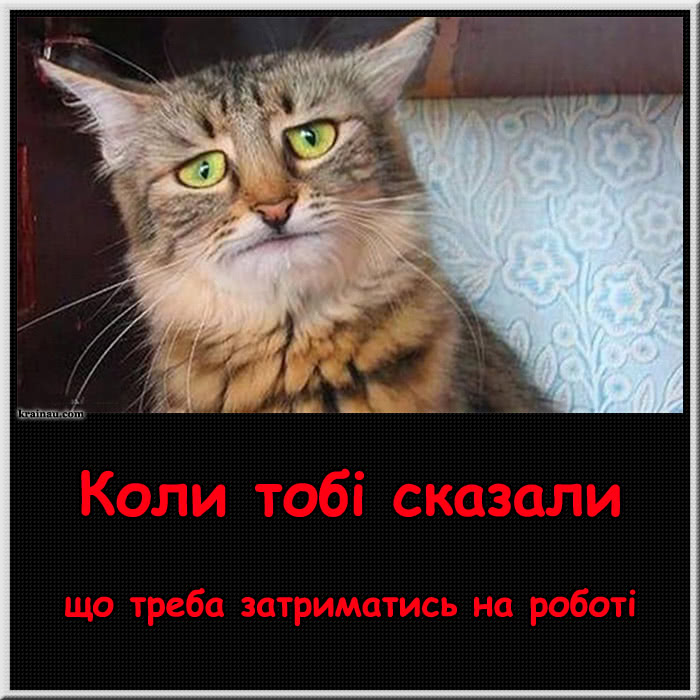 Смішне про роботу