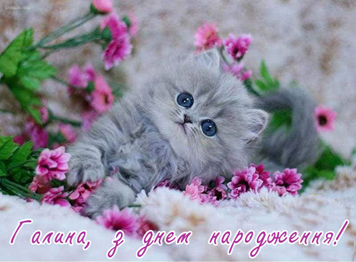 Привітання з днем народження Галина