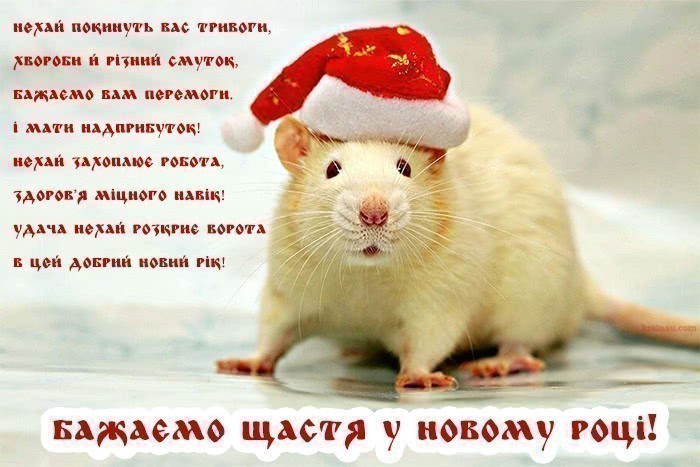 Картинки з новим роком 2020