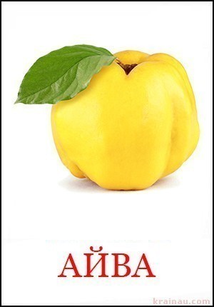 Айва - Картинки фрукти для дітей