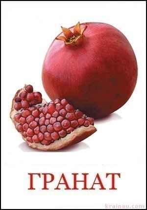 Гранат - Картинки фрукти для дітей