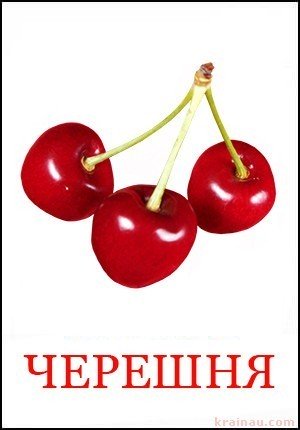 Черешня - Картинки фрукти для дітей