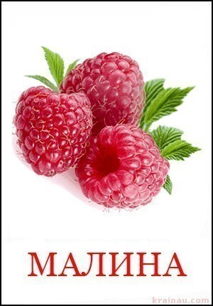 Малина - Картинки фрукти для дітей