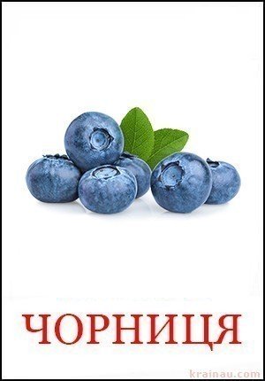 Чорниця - Картинки фрукти для дітей