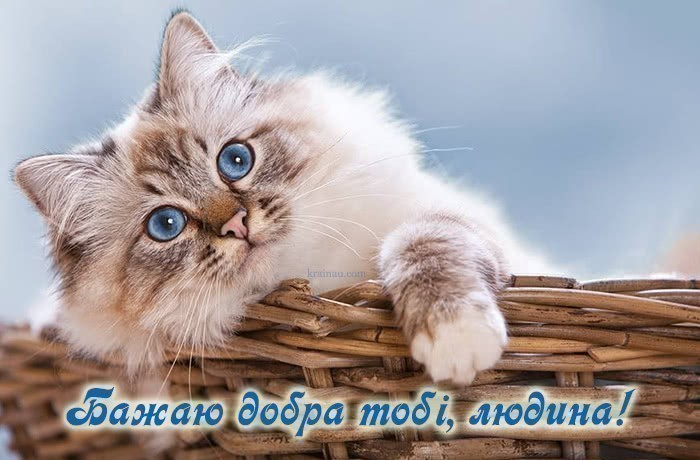 Листівки Побажання добра