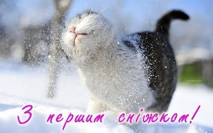 вітання з першим снігом