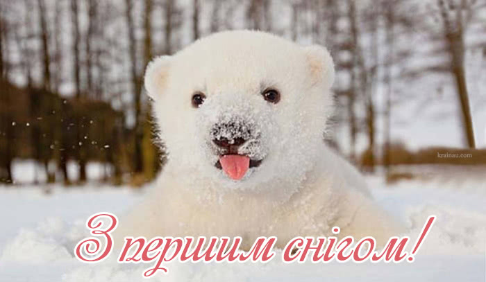 з першим снігом