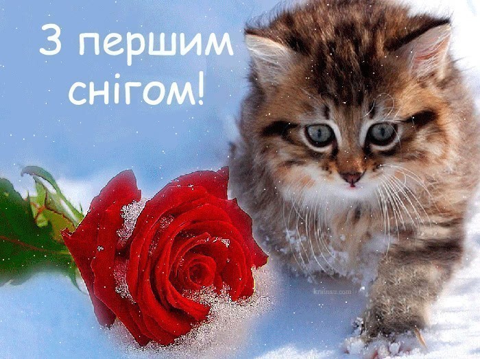 листівки з першим снігом