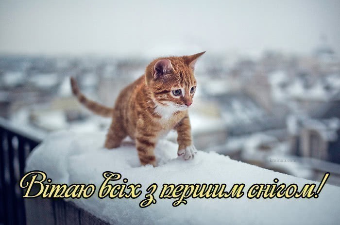 картинки з першим снігом українською мовою