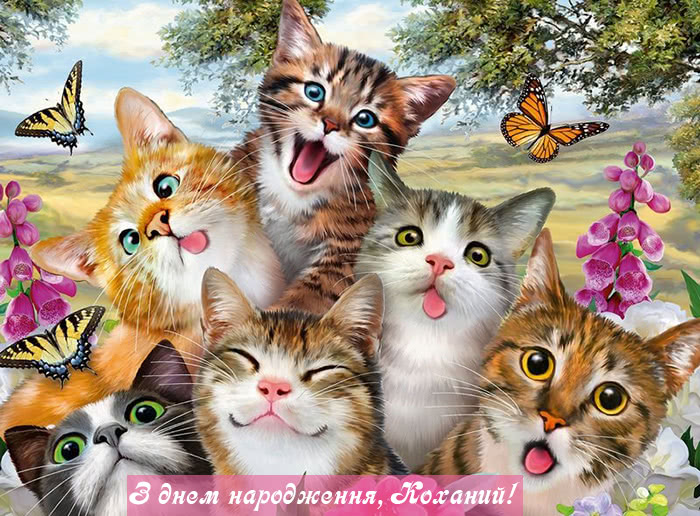 Найкращі привітання коханому