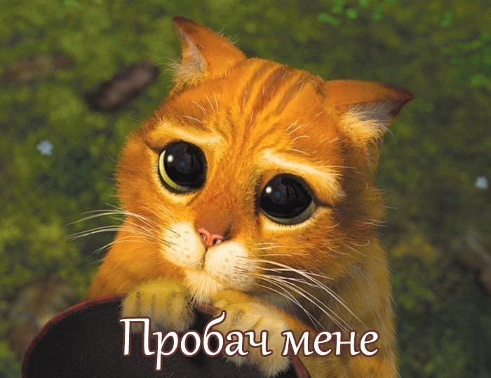 Картинки з вибаченнями