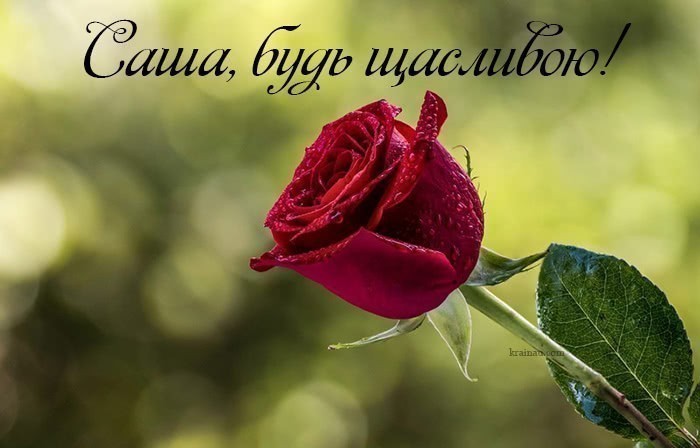Картинка з Днем Народження Саша