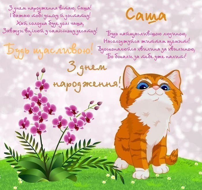 Привітання з днем народження Саша