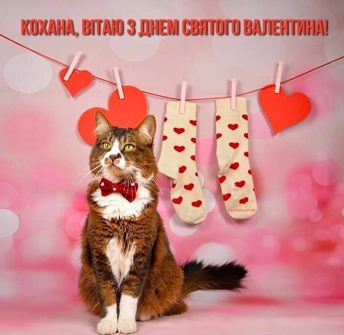 Привітання з Днем Закоханих