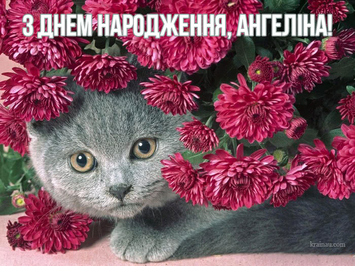 Привітання з днем народження Ангеліна