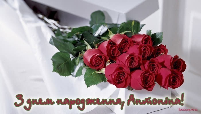 Картинка з Днем Народження Антоніна