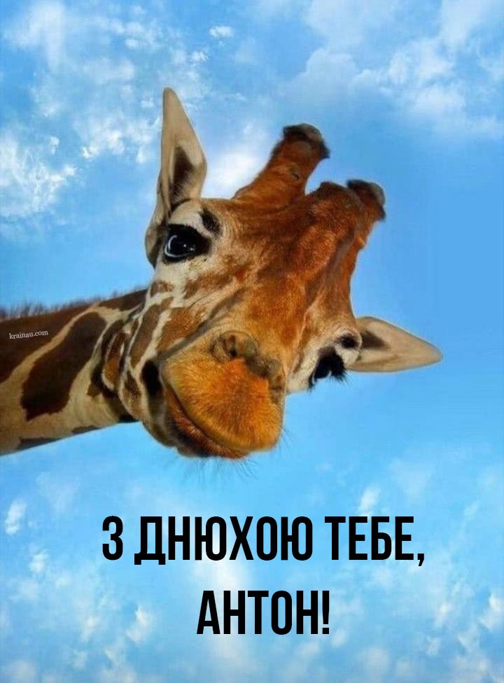 Вітання Антон, з днем народження!