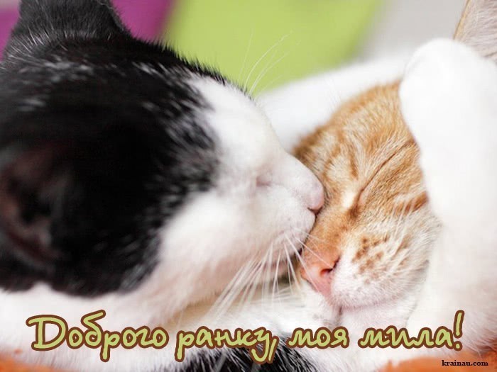 Картинки Доброго ранку, кохана