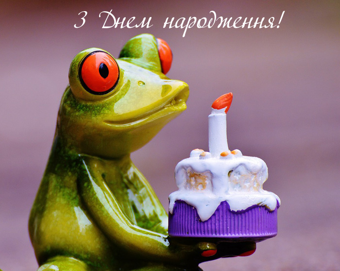 Картинка жаба, коротке привітання з днем народження