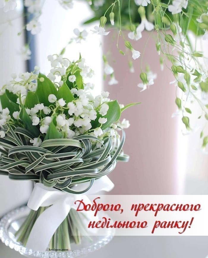 Картинки легкої неділі