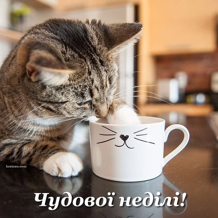 Доброго ранку, гарної неділі