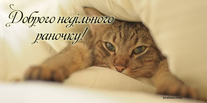 Листівки з неділею!