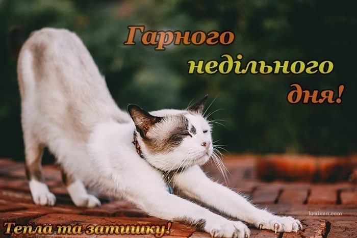 Побажання Доброго ранку неділя українською