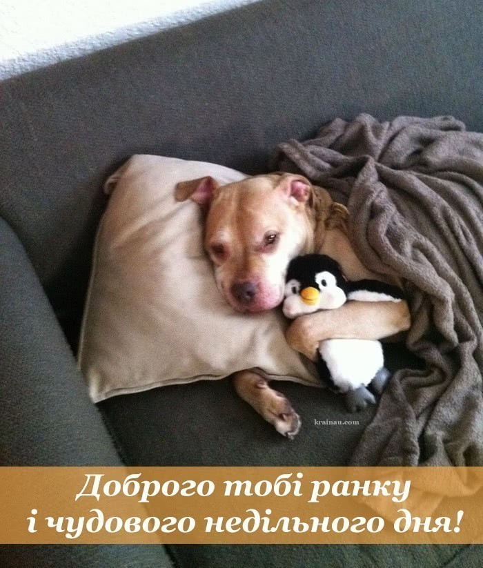 З неділею