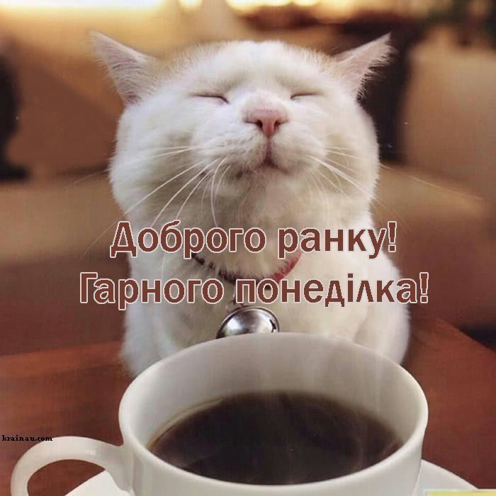 Картинки Доброго ранку понеділок