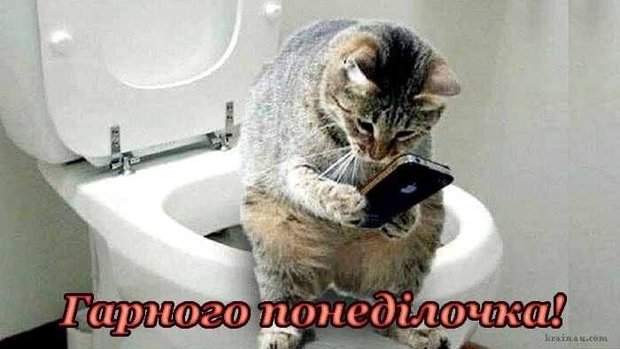 Картинки Доброго ранку понеділка