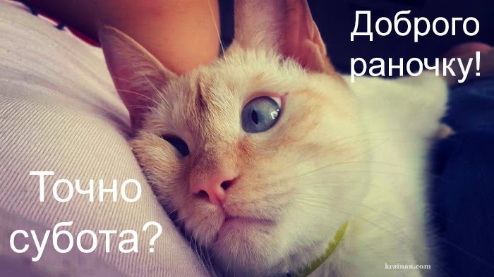Картинки легкої суботи