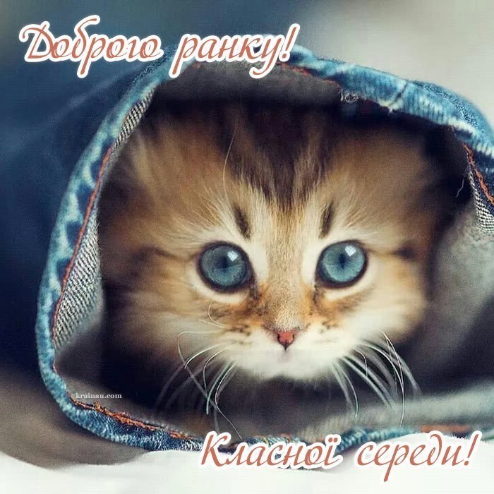 Листівки з середою!