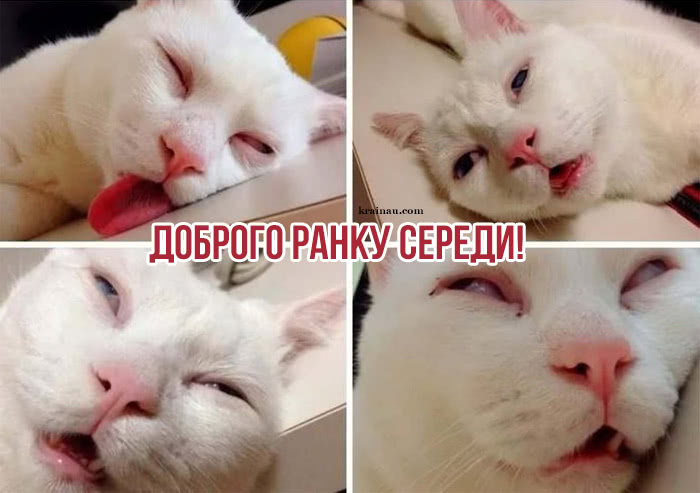 Картинки Доброго ранку середа