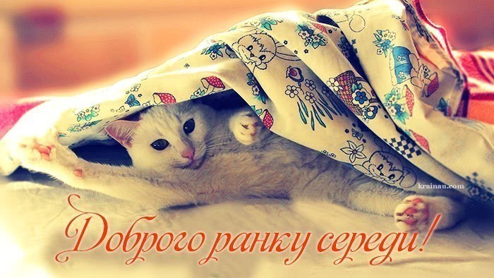 Доброго ранку середи