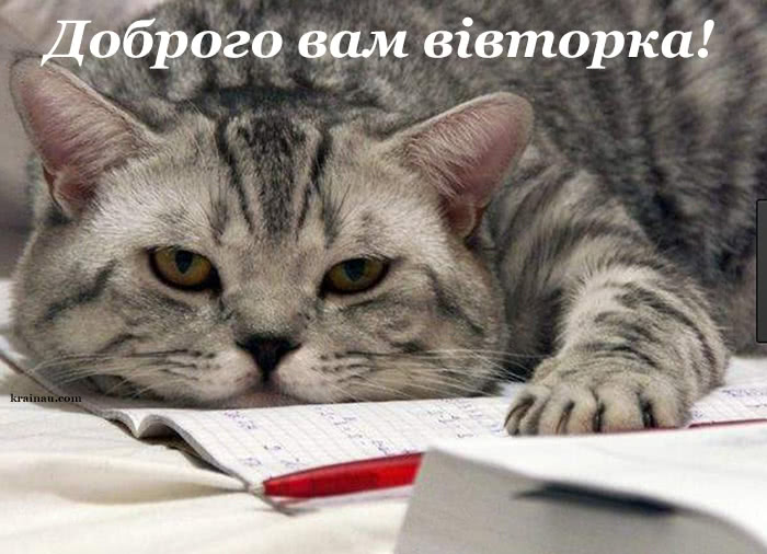 Побажання Доброго ранку вівторка