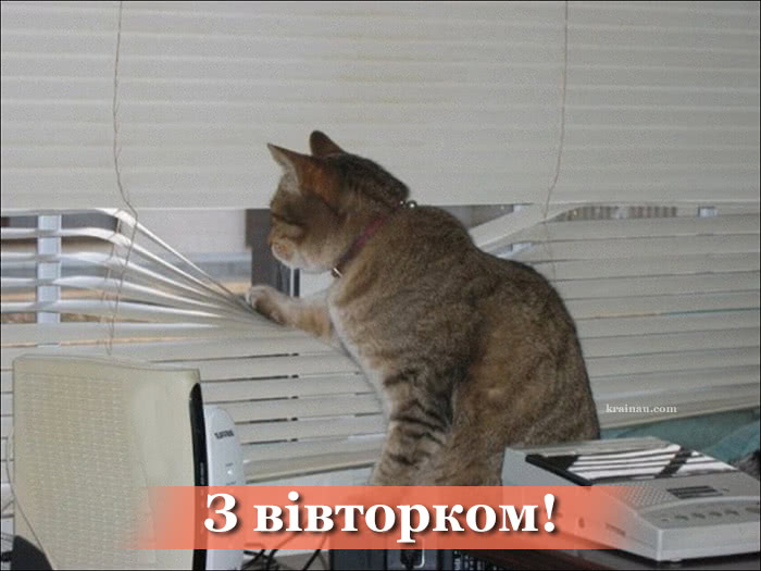 Доброго ранку вівторка українською мовою