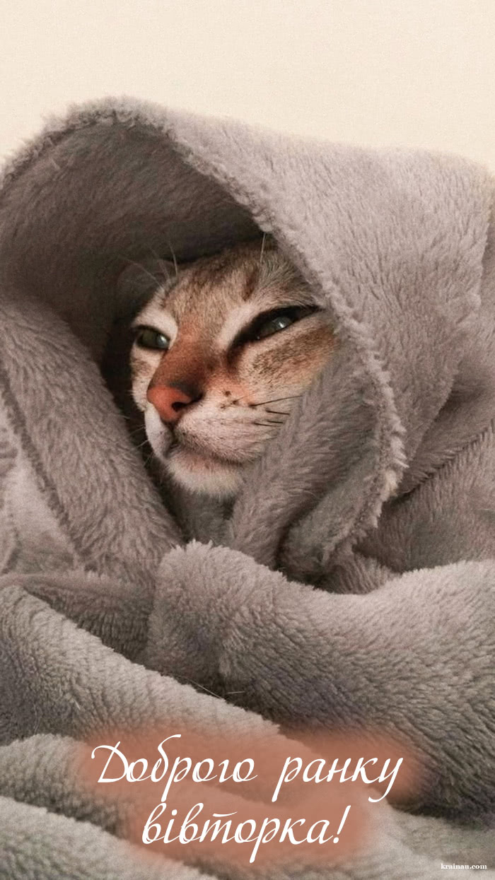 Листівки Доброго ранку вівторок