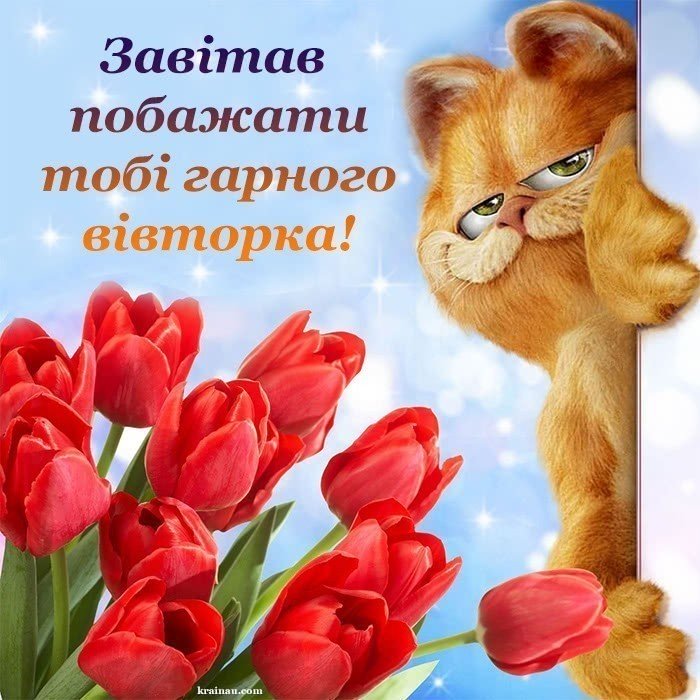 Доброго ранку вівторка