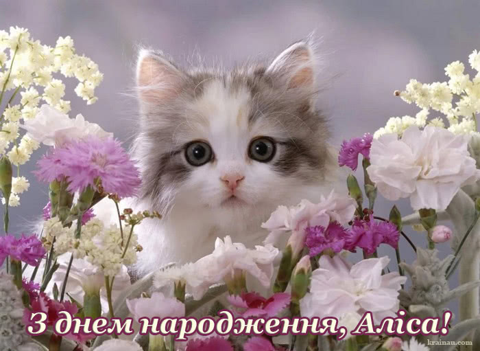 Листівка з Днем Народження Аліса