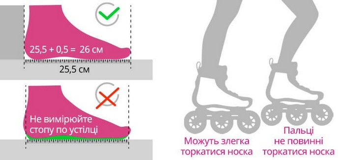 ролики